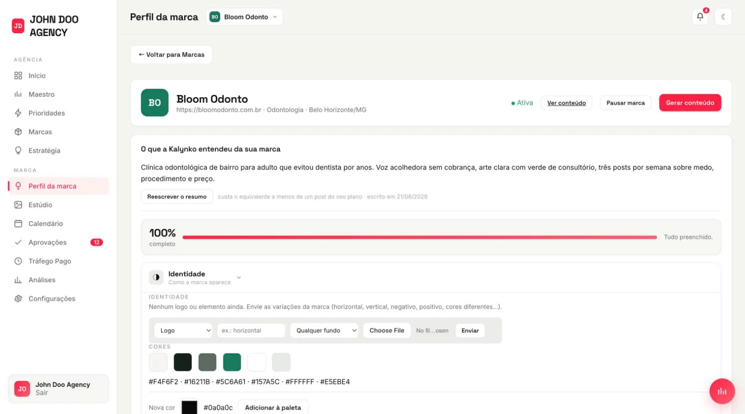 Perfil da marca com o resumo do que a Kalynko entendeu, barra de 100% completo e a paleta de cores